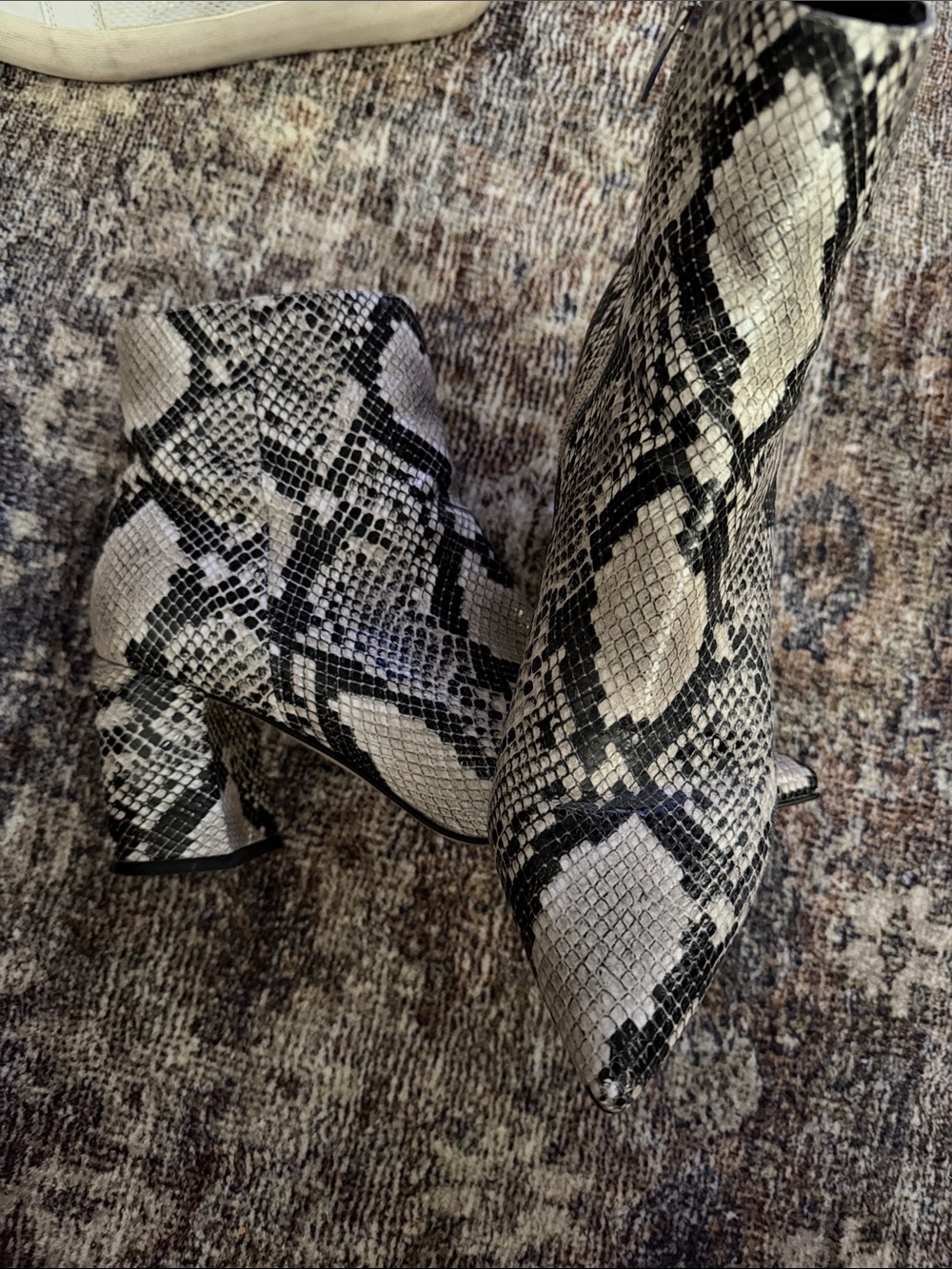 Marc Fisher Snake-Print Ankle Boots in Black & Cream